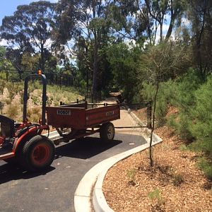 The old cat alley now rear of LG