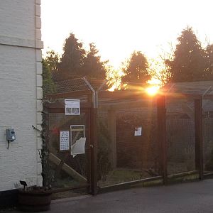 The sun begins to set behind the pheasant pens, 24th December 2014