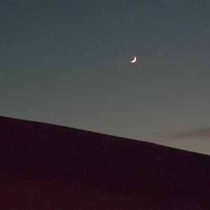 Having just left the zoo, 24th December 2014