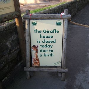 Sign out side a very closed Giraffe House