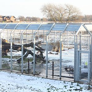 Victor in accomodation area 27-12-14