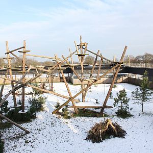 Drake in his huge snowy enclosure 27-12-14