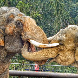 Dec. 2014 - Asia Quest - Hank + Phoebe (My Greatest Photo)