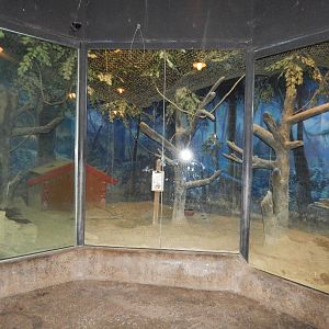 Dec. 2014 - Roadhouse - Southern Hairy-nosed Wombat Exhibit New 2014!