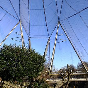 Inside Snowdon Aviary