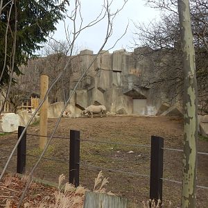 Dec. 2014 - Rhino Trek - Eastern Black Rhinoceros Exhibit 2 (Newly Renovate