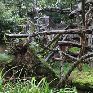 Goodfellow's Tree-kangaroos enclosure