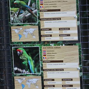 Macaw signs