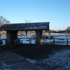 View of Hunting Dog viewing shelter