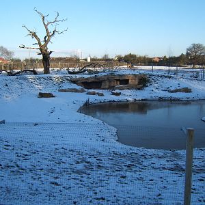 View of Hunting Dog enclosure