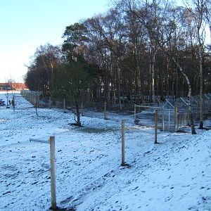 View of Hunting Dog enclosure