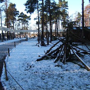View inside the Lemur enclosure