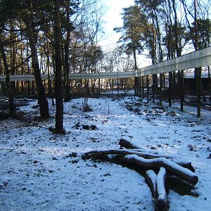 View inside the Lemur enclosure