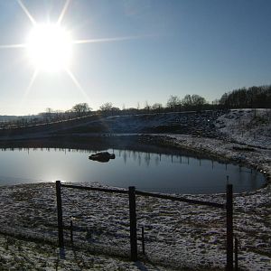 View of Polar Bear enclosure