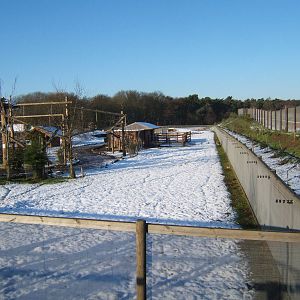 View of South American walk through