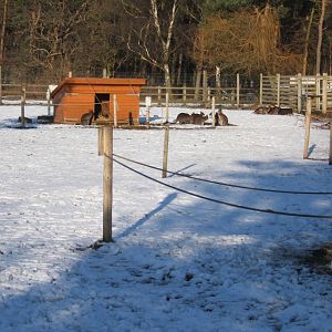 View of Australian walk through