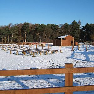 View of new Bird display area,this used to be the Dwarf Zebu paddock