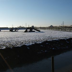 View of African Plains exhibit