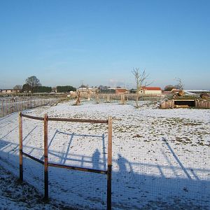View of Lion enclosure