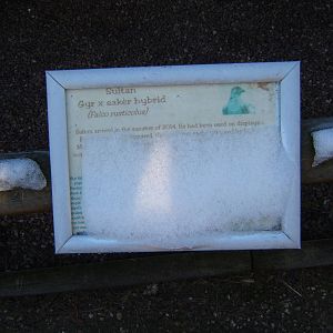 Signage in snow