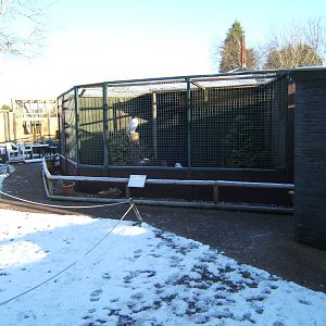 View towards Owl aviarys