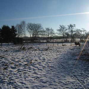 View of Paddocks out the back