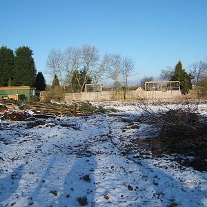 View of back of the site from the Paddocks