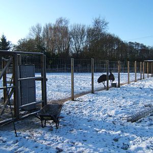 View of Emu paddock