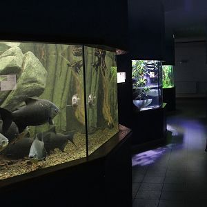 Some of the aquariums at Zoo Zamosc, 30. Dezember 2014