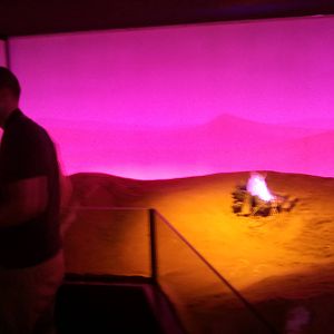 UAE Creatures of the Night 03