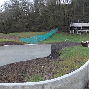 Bear ravine progress