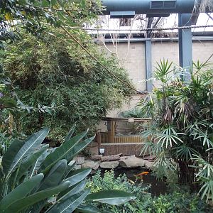 Monkey Tails building