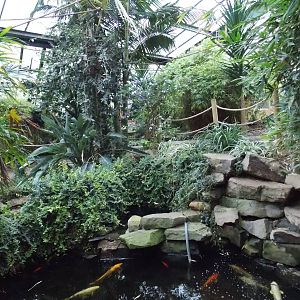 Monkey Tails building