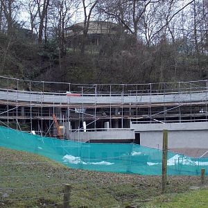 Bear ravine progress