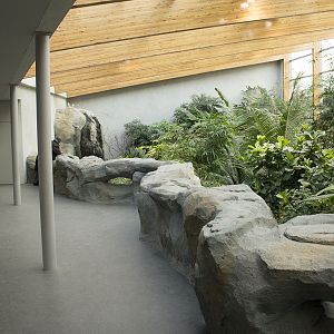 Renovated bird house, 12/28/14