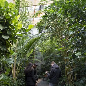 Renovated bird house, 12/28/14