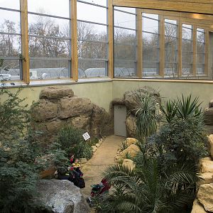 Renovated bird house, 12/28/14