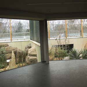 Renovated bird house, 12/28/14