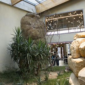 Renovated bird house, 12/28/14