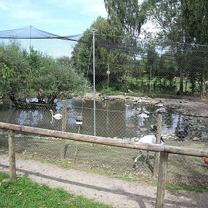 Bodensee Zoo ?berlingen - big aviary