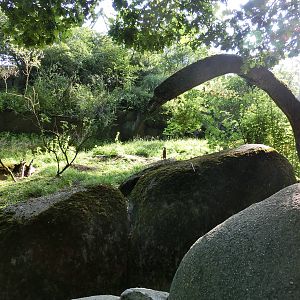 Burgers' Zoo Arnhem (August 2013)