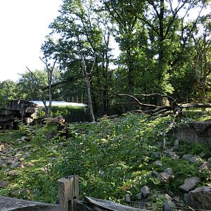 Burgers' Zoo Arnhem (August 2013)