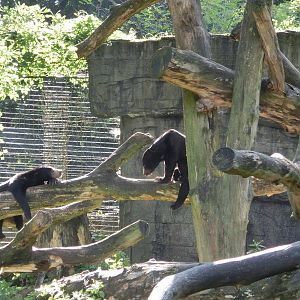 Burgers' Zoo Arnhem (August 2013)