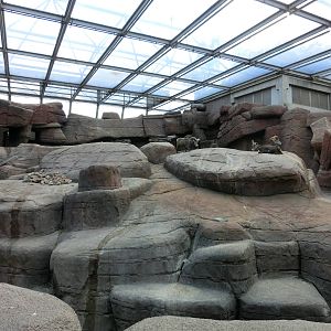 Burgers' Zoo Arnhem (August 2013)