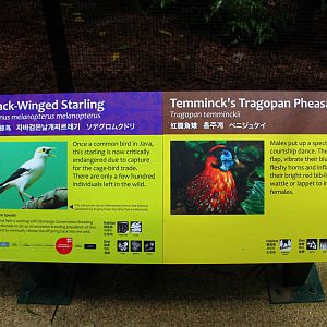 Wings of Asia - Signage