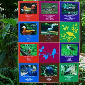 Wings of Asia - Signage