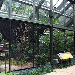 Wings of Asia - Side Aviary