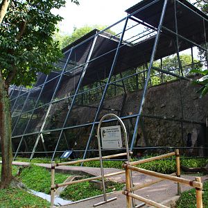 Birds of Prey - upcoming Andean Condor aviary