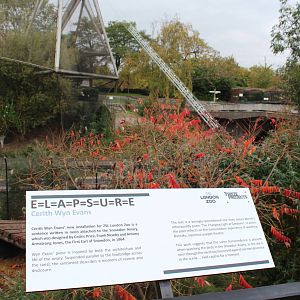 Nonsense at the zoo, October 2014