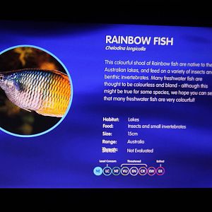 confusing label Manchester Sealife 29 November 2014